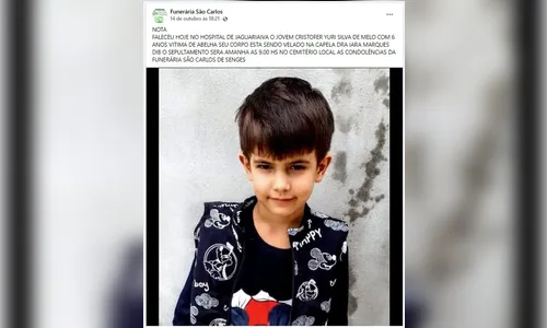 
						
							Criança de 6 anos morre após ser atacada por enxame de abelhas no PR
						
						