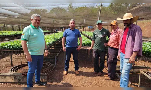 
						
							Prefeitura de Ivaiporã distribui mudas de café para agricultores
						
						