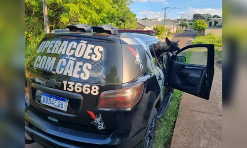 
						
							Tiros em meio a mata mobilizam equipes da PM em Jandaia do Sul; veja
						
						