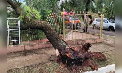 

							Municípios da região registram chuva de granizo; veja

						