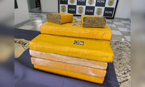 
						
							Droga vinda da África é apreendida pela Polícia Civil de Apucarana
						
						