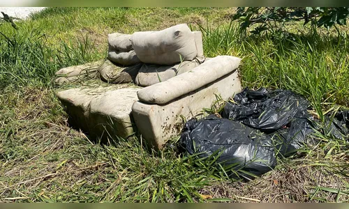 
						
							Trabalhador vai roçar terreno e acaba atacado por abelhas em Apucarana
						
						