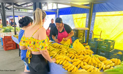 
						
							Espaço das Feiras já sediou 1,1 mil eventos em Apucarana
						
						