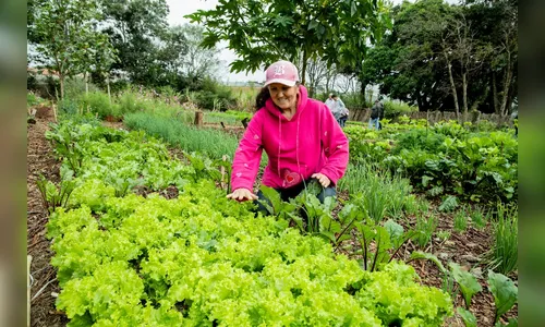 
						
							Cessão de áreas da Copel irá ampliar “hortas solidárias” em Apucarana
						
						