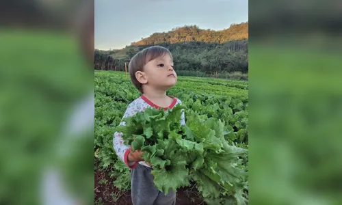 
						
							Agricultora de Jandaia do Sul é premiada por práticas sustentáveis
						
						