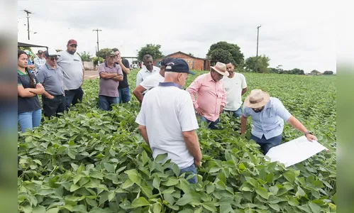 
						
							Giro Técnico na Soja divulgará resultados de boas práticas no Paraná
						
						