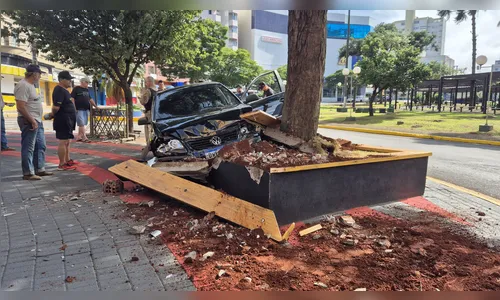 
						
							Polo bate em árvore no centro de Apucarana e motorista abandona carro
						
						