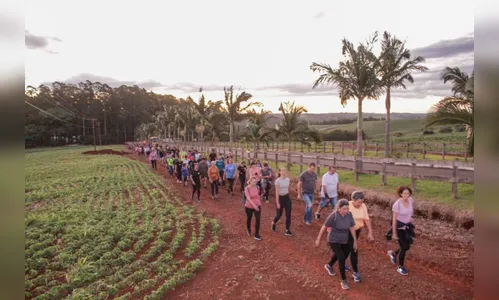 
						
							Primeira Caminhada da Lua em Apucarana teve mais de 600 participantes
						
						