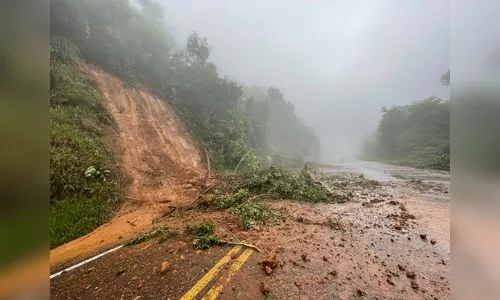 
						
							Saiba quais rodovias estão interditadas no Paraná nesta quinta (12)
						
						