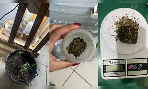 
						
							PM descobre 'laboratório' de maconha após morador ser dado como morto
						
						