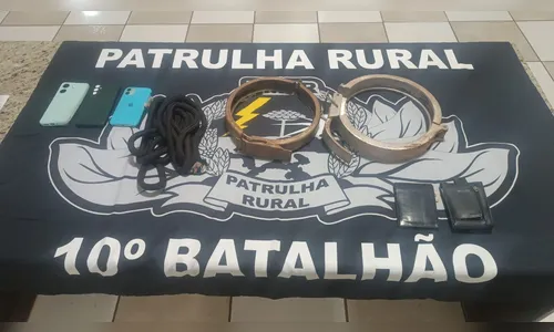 
						
							Patrulha Rural de Apucarana prende quadrilha de furto de gado; veja
						
						