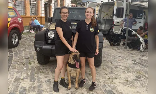 
						
							Polícia Científica do PR ganha primeiro mascote da corporação; veja
						
						