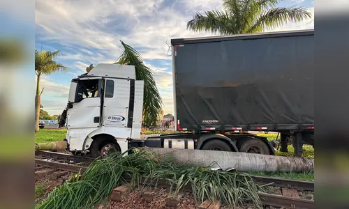 
						
							Caminhão derruba coqueiro às margens da BR-369 e danifica linha férrea
						
						