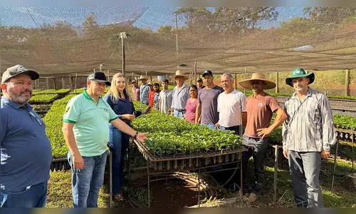 
 
 Prefeitura de Ivaiporã entrega 80 mil mudas de café a produtores
 
 