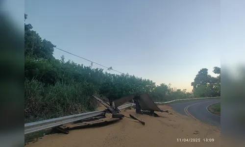 
						
							Carreta tomba na PR-170 em Borrazópolis e provoca transtornos
						
						