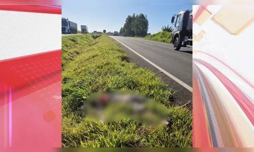 
						
							Homem morre atropelado na BR-376; motorista foge sem prestar socorro
						
						