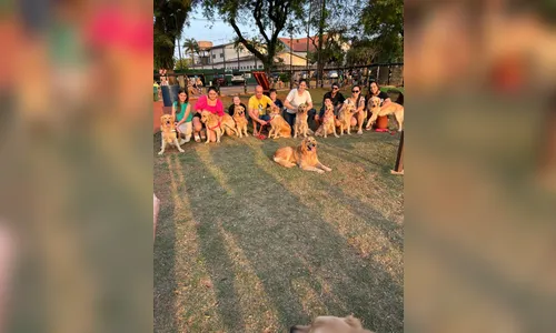 
						
							Morte de cachorro famoso em Apucarana gera comoção
						
						
