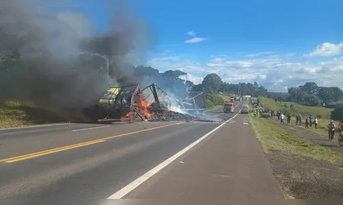 
							Tio e sobrinho morrem em acidente entre caminhões na BR-373 no PR
						
						