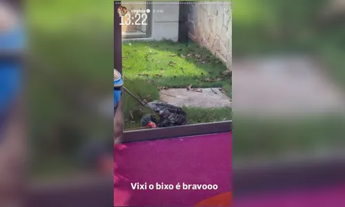 
							Animal exótico invade mansão de Virginia Fonseca
						
						