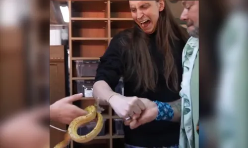 
							Felca é picado por cobra de Richard
						
						