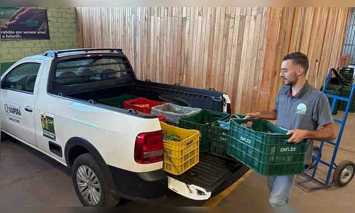 
							Compra Direta leva alimentos a 9 mil pessoas na região de Ivaiporã
						
						