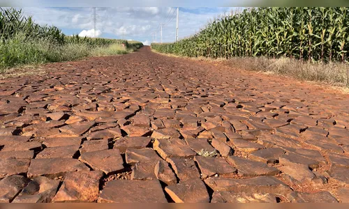
							Prefeituras querem pavimentar estrada que corta futuro pedágio
						
						