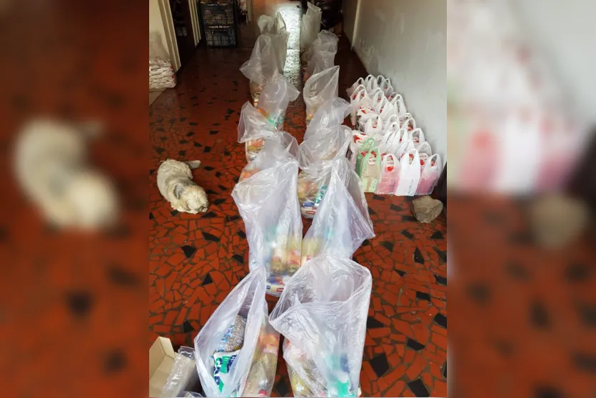 ONG de Apucarana arrecada alimentos para montar cestas básicas