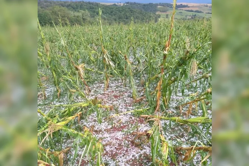 Chuva de granizo assusta moradores da região