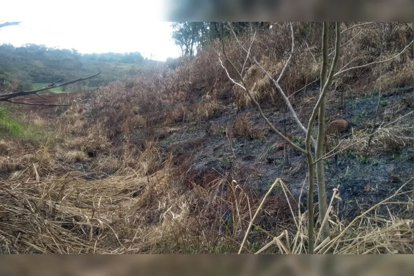 Sitiante é multado em R$ 5 mil após atear fogo em área agropastoril