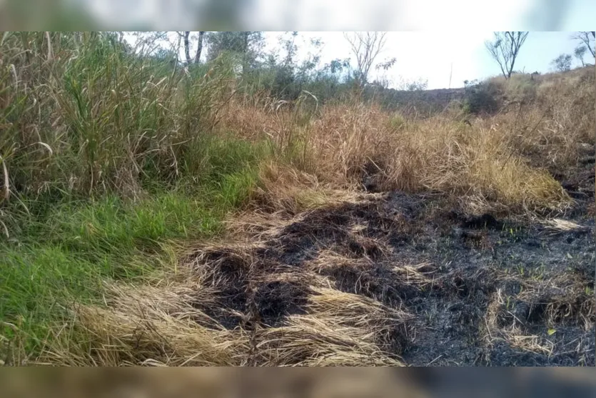 Sitiante é multado em R$ 5 mil após atear fogo em área agropastoril