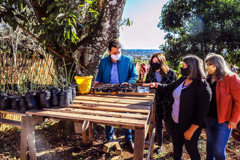 Prefeito de Apucarana visita horta solidária no Espaço Empreender