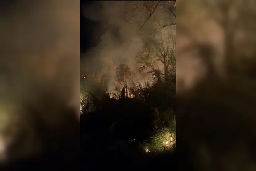 Incêndio em matagal mobiliza bombeiros em Apucarana
