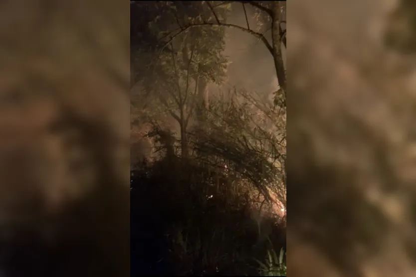 Incêndio em matagal mobiliza bombeiros em Apucarana