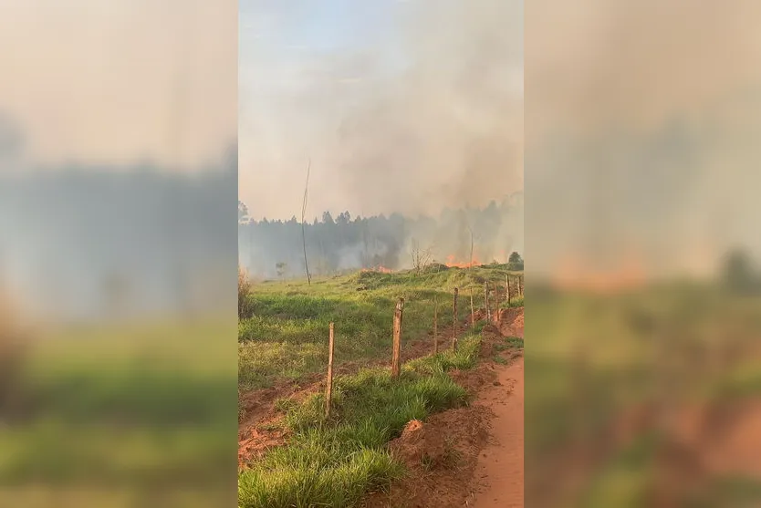 Bombeiros atendem incêndio na estrada entre Astorga e Sabáudia