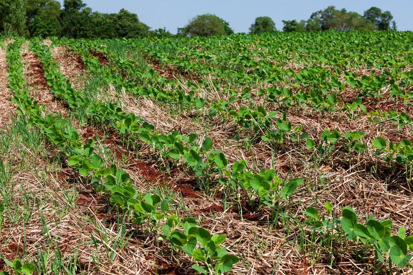 Itaipu e UEMS assinam parceria para construção de Laboratório de Fertilidade