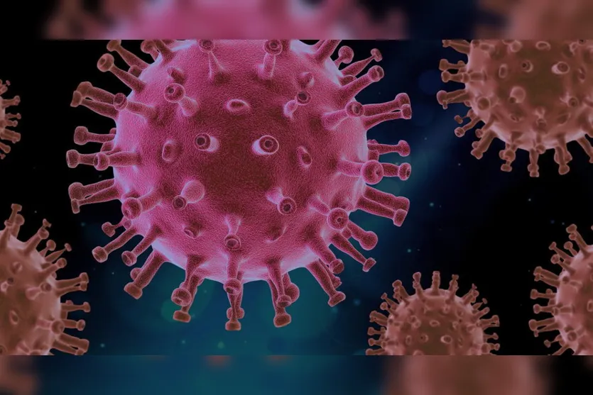 Arapongas registra mais 70 casos do novo coronavírus