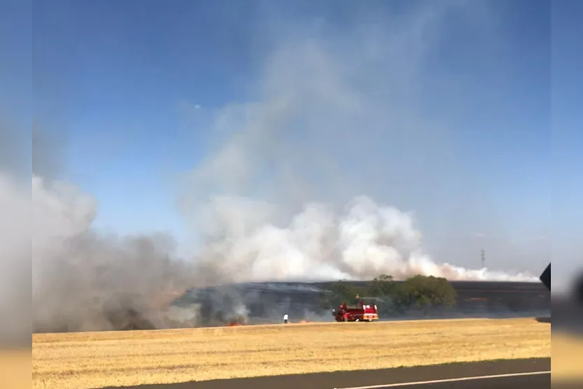 Bombeiros de Arapongas combatem incêndio as margens da BR 369