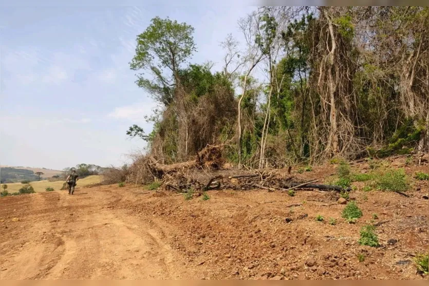 PM registra derrubada de vegetação nativa em Ivaiporã