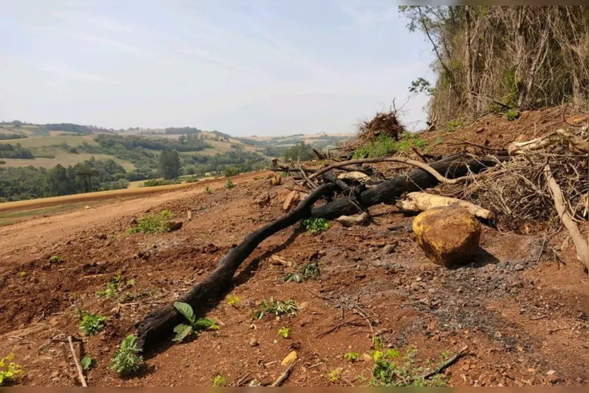 PM registra derrubada de vegetação nativa em Ivaiporã