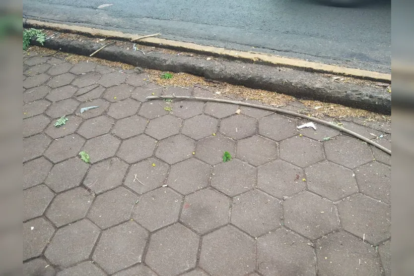Fio de alta tenção se rompe na Avenida Governador Roberto da Silveira