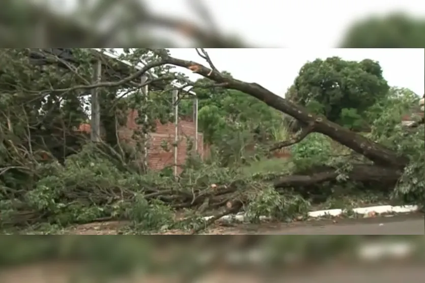 Maringá é atingida por temporal com ventos de até 72 km/h