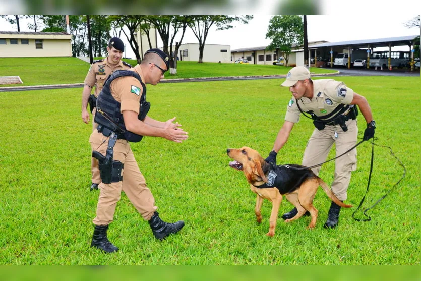 Aniversário de criação do canil setorial do 10º BPM; veja