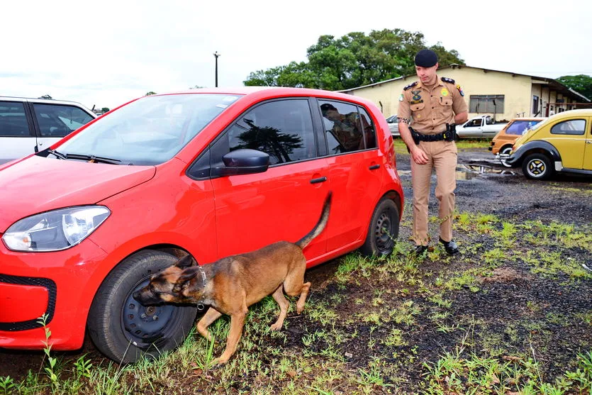 Aniversário de criação do canil setorial do 10º BPM; veja