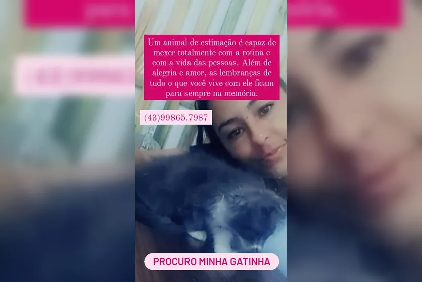 Apucaranense faz apelo para encontrar gata desaparecida