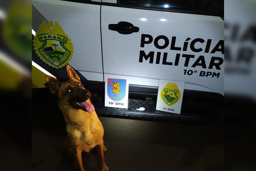 Cão de faro Iron encontra cocaína em mata e autor é detido pela PM