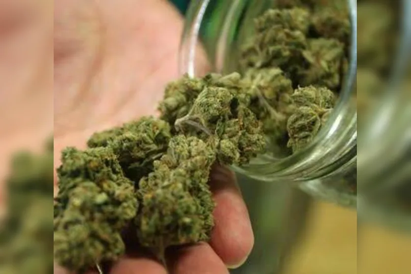 Homem de 34 anos é preso com mais de meio quilo de maconha