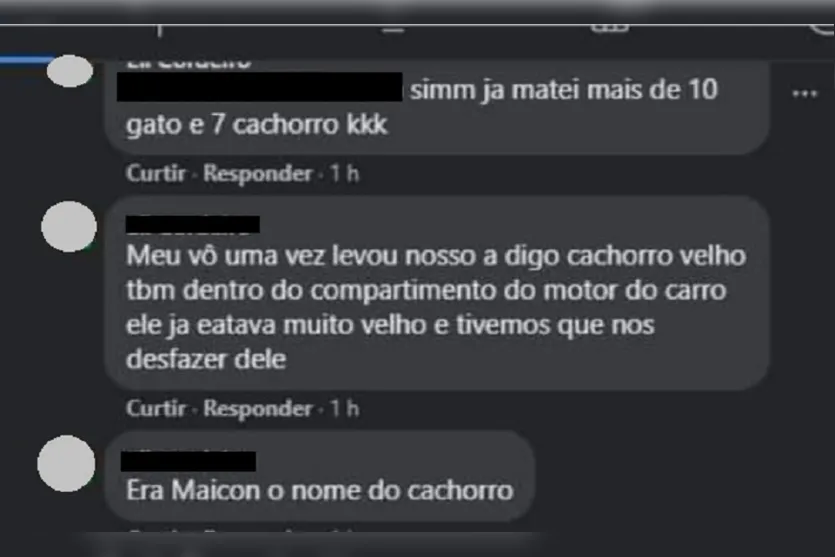 Homem posta que matou cães e gatos e gera revolta