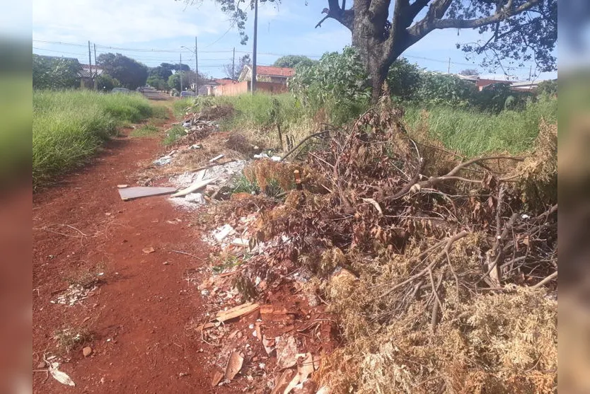 Moradores reclamam de lixo em terreno baldio no Jardim Planalto