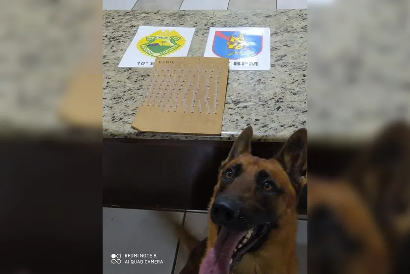 PM encontra quase 1 quilo e meio de maconha e mais de 100 pinos de cocaína