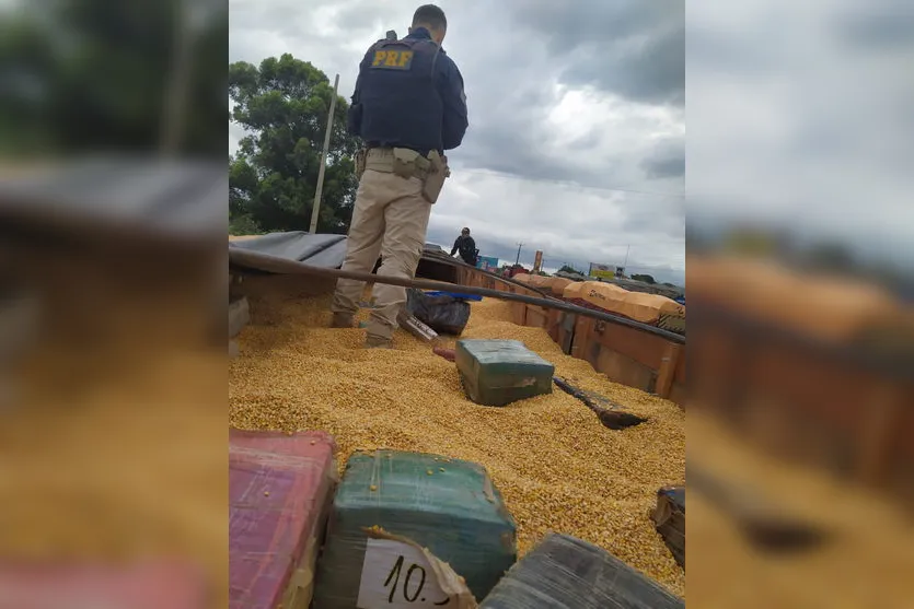 PRF apreende mais de 2,5 toneladas de maconha no Paraná